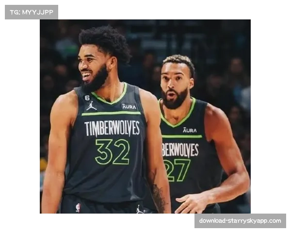 森林狼防守效率112.1第十 戈贝尔唐斯内线搭档护框数据符合预期